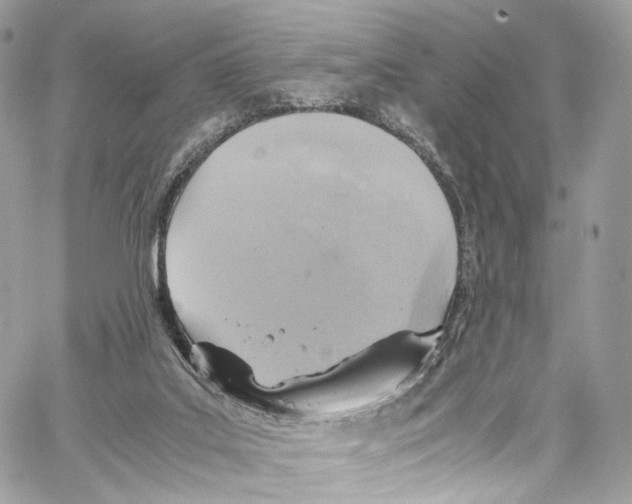 X0000067000019200604241416