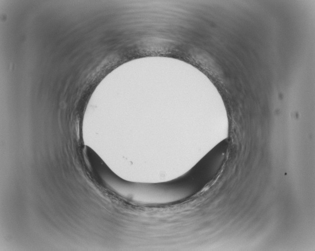 X0000067000021200604241416