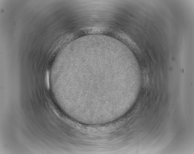 X0000067000022200604241416