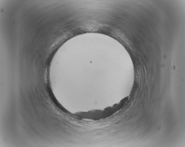 X0000067000023200604241416