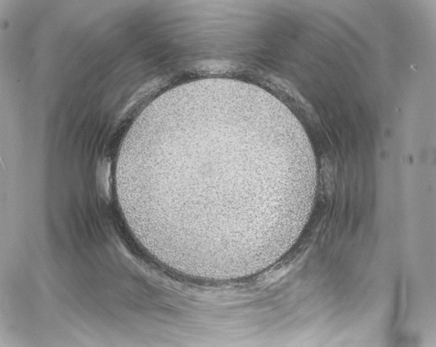 X0000067000024200604241416