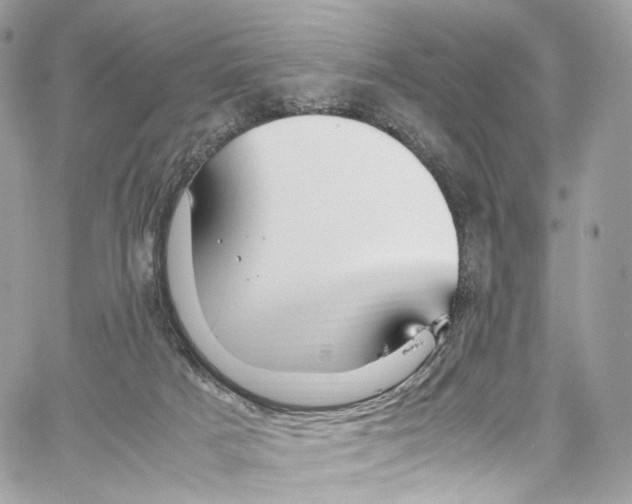 X0000067000025200604241416