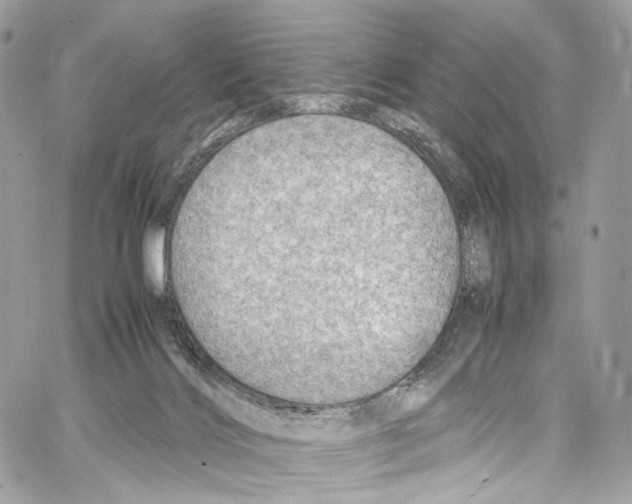 X0000067000028200604241416