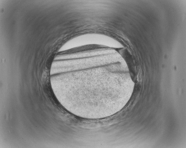 X0000067000029200604241416