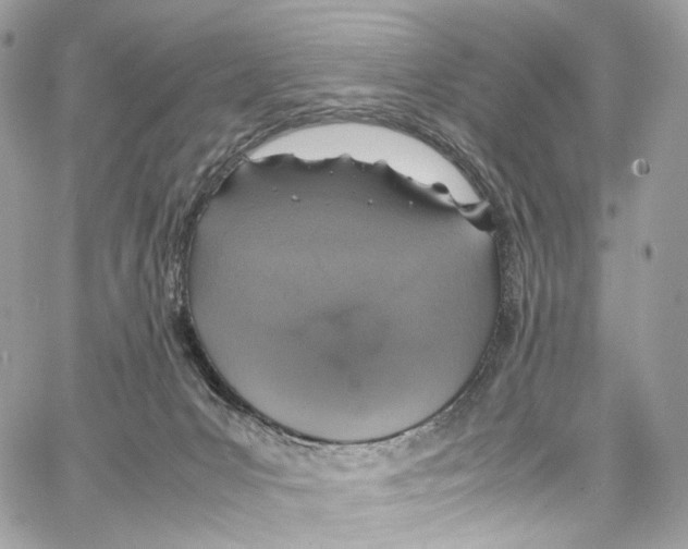 X0000067000031200604241416