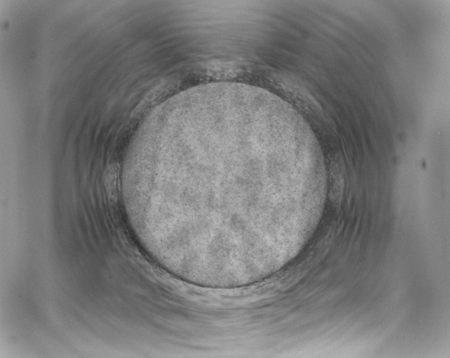 X0000067000034200604241416