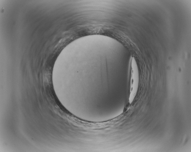 X0000067000035200604241416