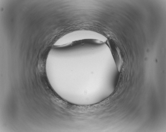 X0000067000037200604241415