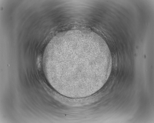 X0000067000038200604241415