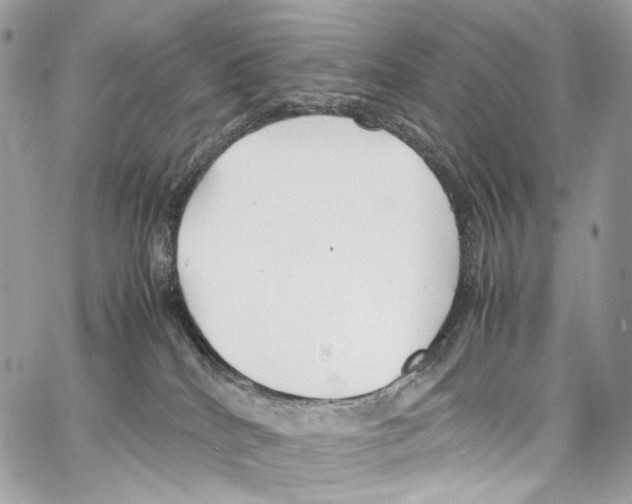 X0000067000040200604241415