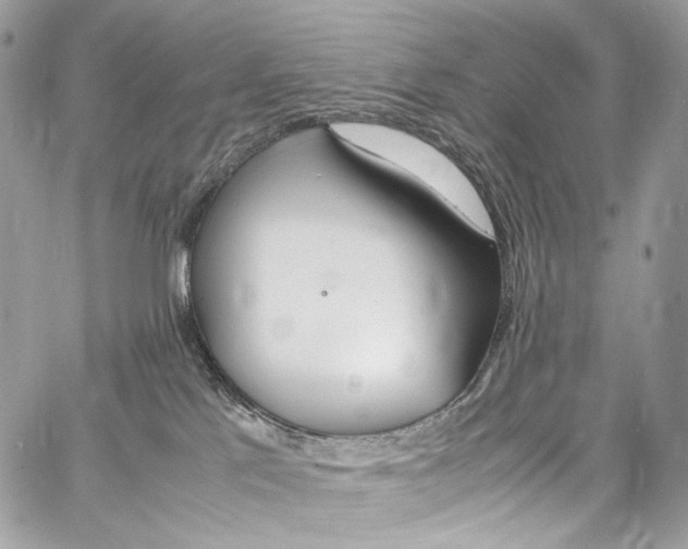 X0000067000041200604241415