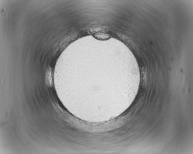 X0000067000042200604241415