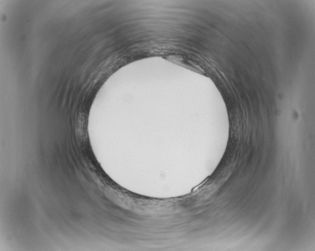 X0000067000044200604241415