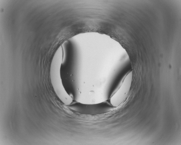 X0000067000045200604241415