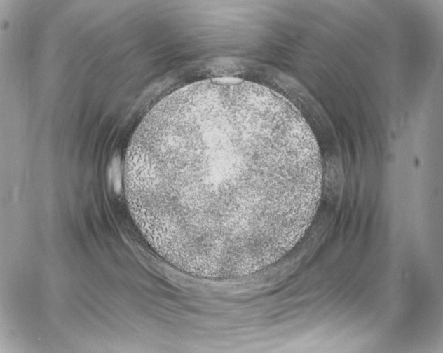 X0000067000046200604241415