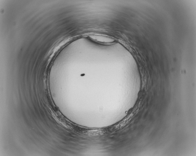 X0000067000050200604241415