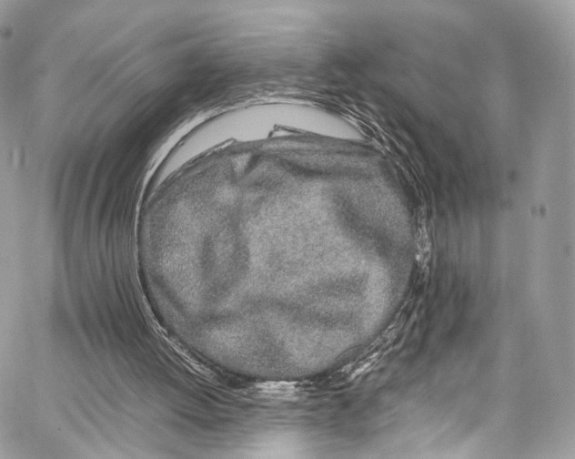 X0000067000052200604241415