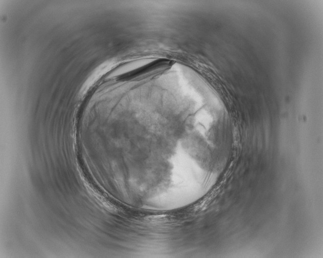 X0000067000054200604241415