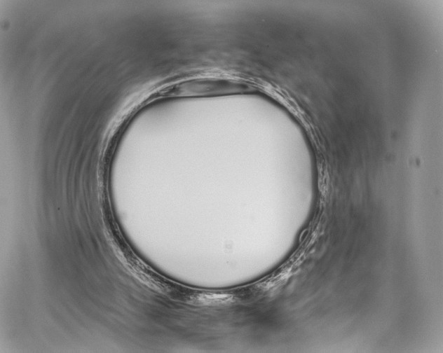 X0000067000055200604241415