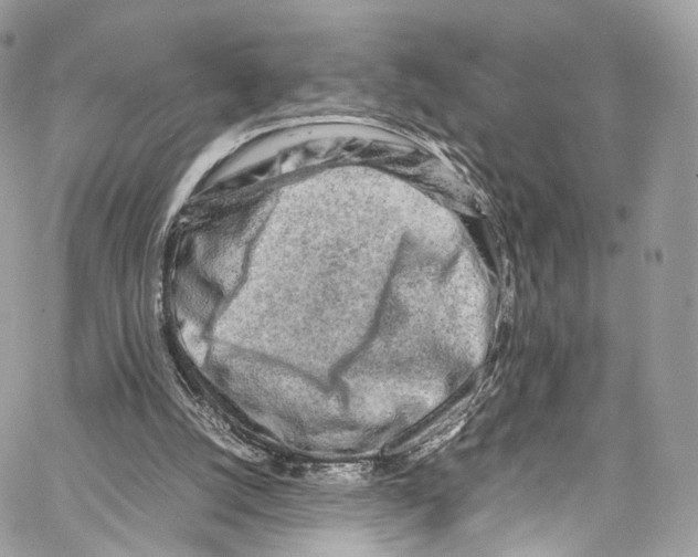 X0000067000056200604241415