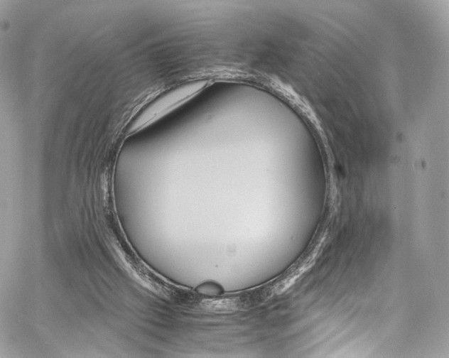 X0000067000057200604241415