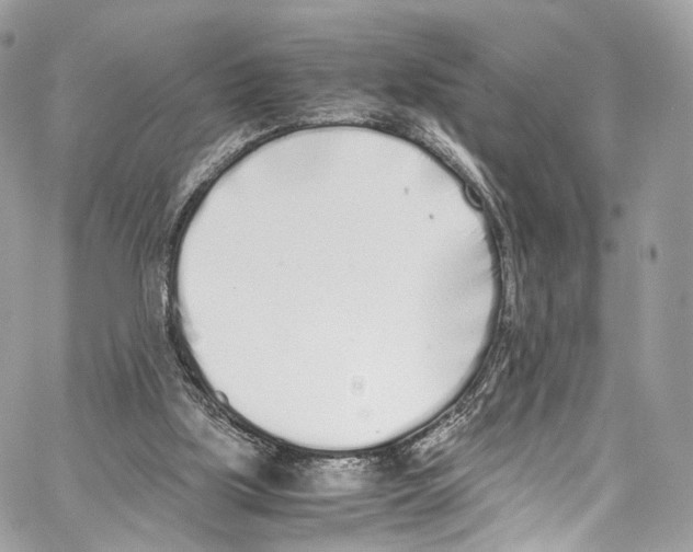 X0000067000059200604241415