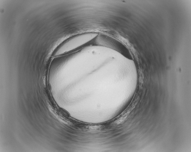 X0000067000060200604241415