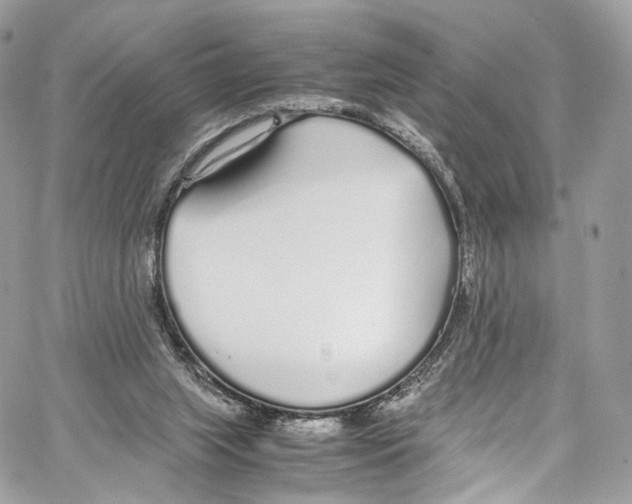 X0000067000063200604241415