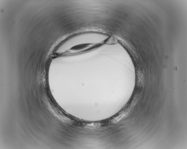 X0000067000064200604241415