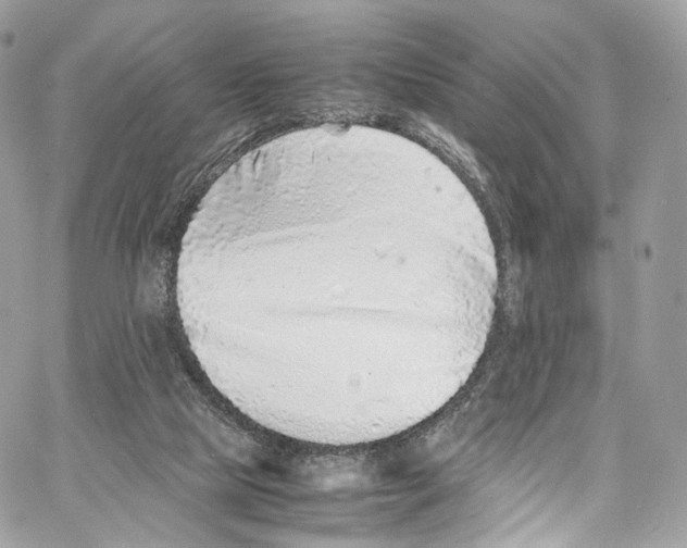 X0000067000065200604241415