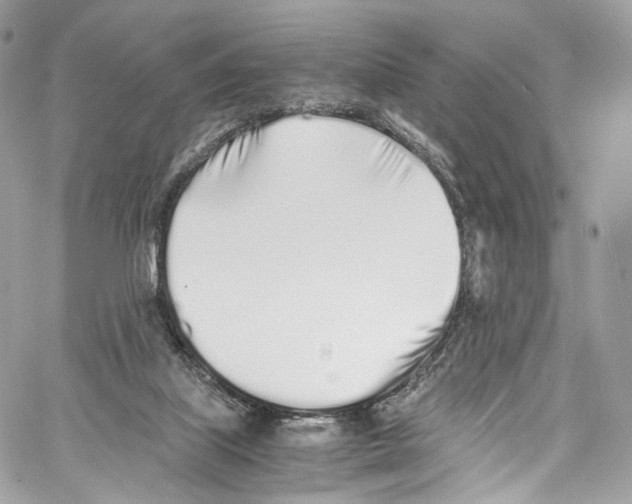 X0000067000067200604241415