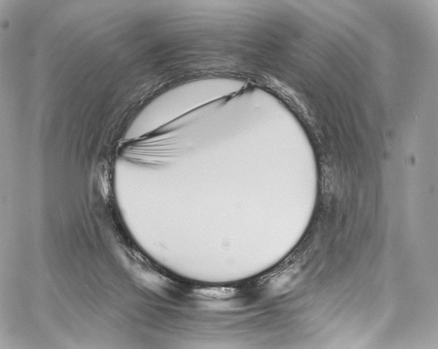 X0000067000069200604241415