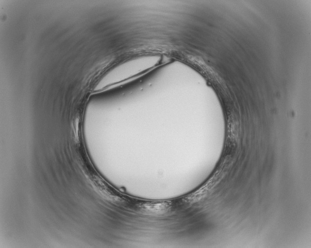 X0000067000070200604241415