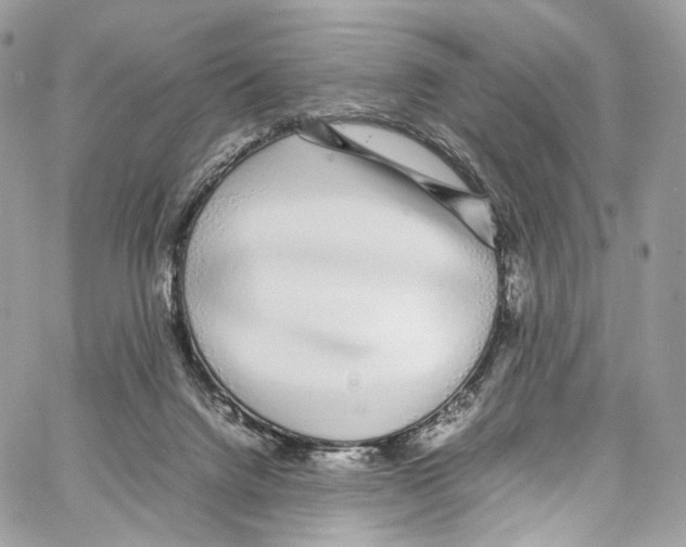 X0000067000072200604241415