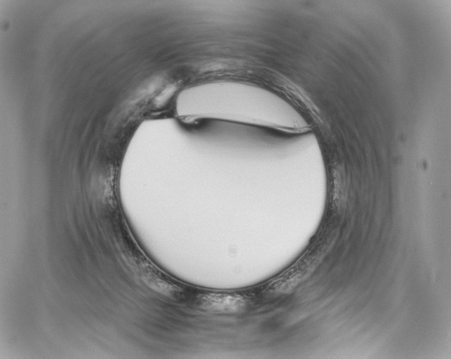 X0000067000073200604241415