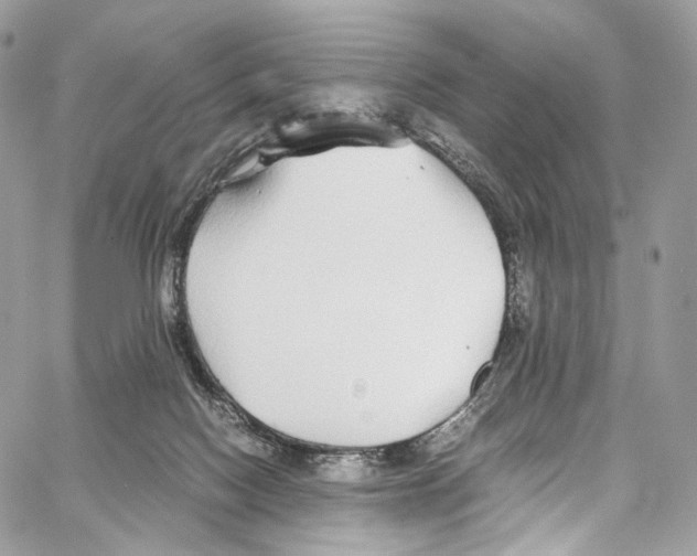 X0000067000074200604241415