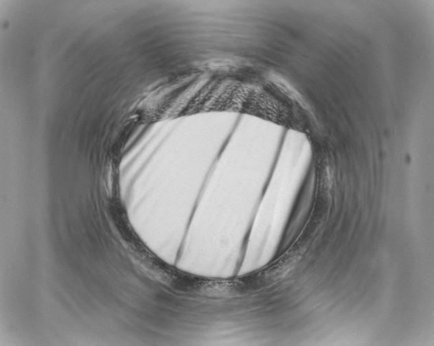 X0000067000076200604241415