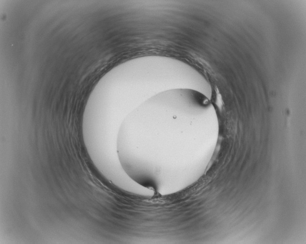 X0000067000077200604241415