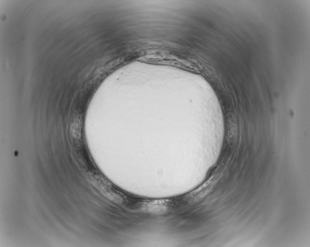 X0000067000078200604241415