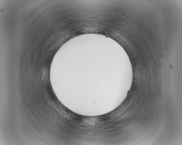 X0000067000079200604241415