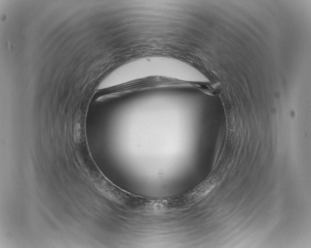 X0000067000080200604241415