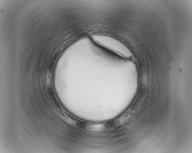 X0000067000081200604241415