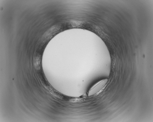 X0000067000082200604241415