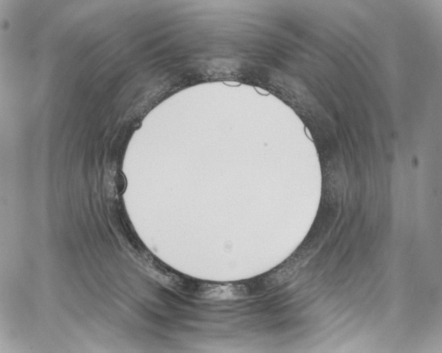 X0000067000083200604241415