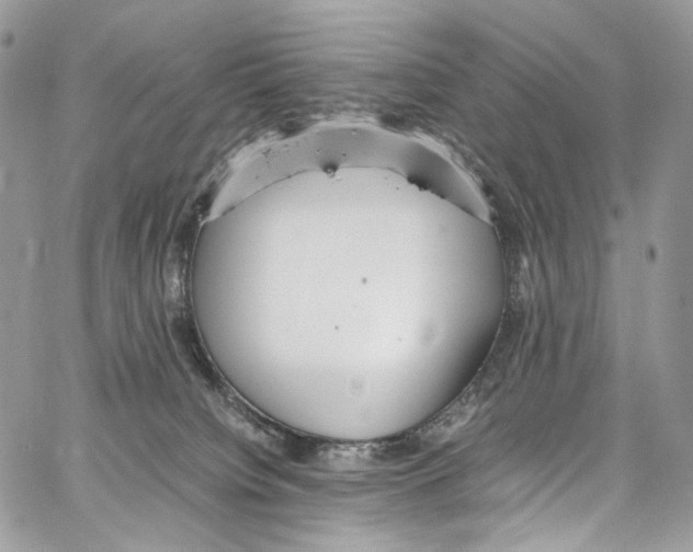 X0000067000084200604241415