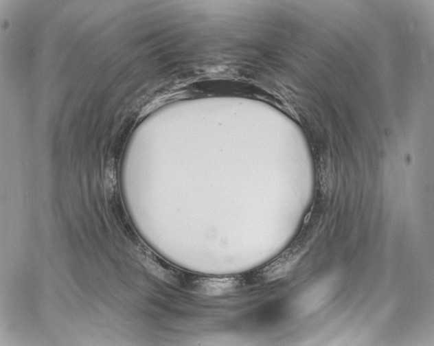 X0000067000085200604241415