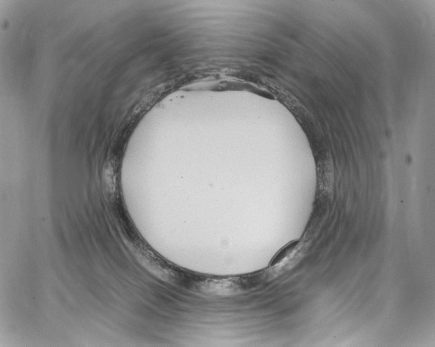 X0000067000086200604241415