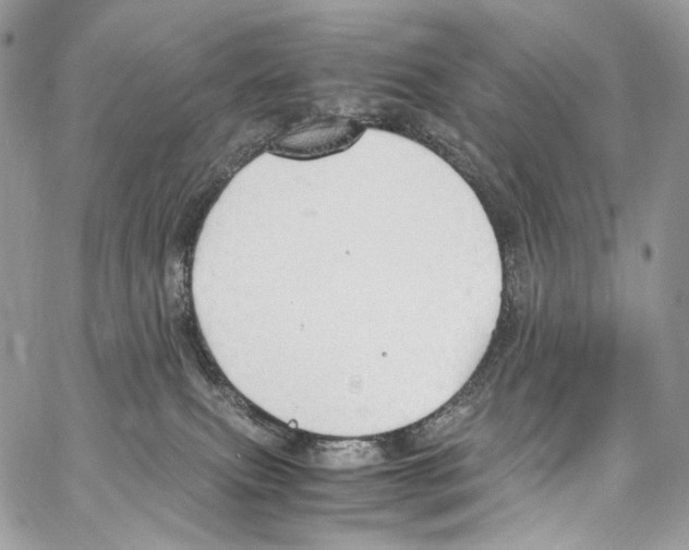 X0000067000087200604241415