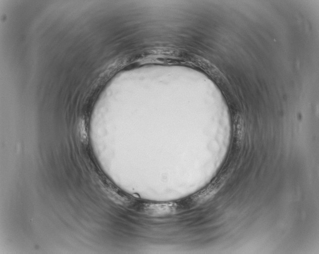 X0000067000089200604241415