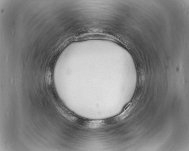 X0000067000090200604241415